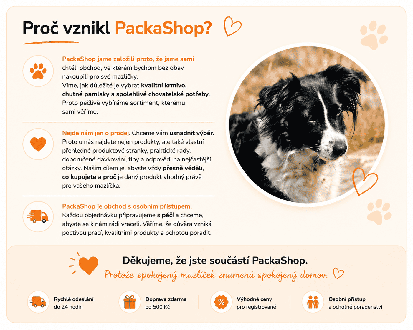PackaShop - proč vznikl